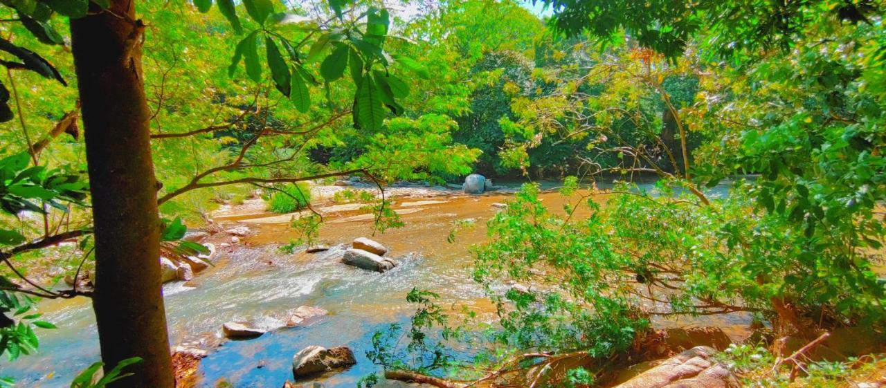 Casa Kumake Tayrona Villa Zaino Eksteriør billede