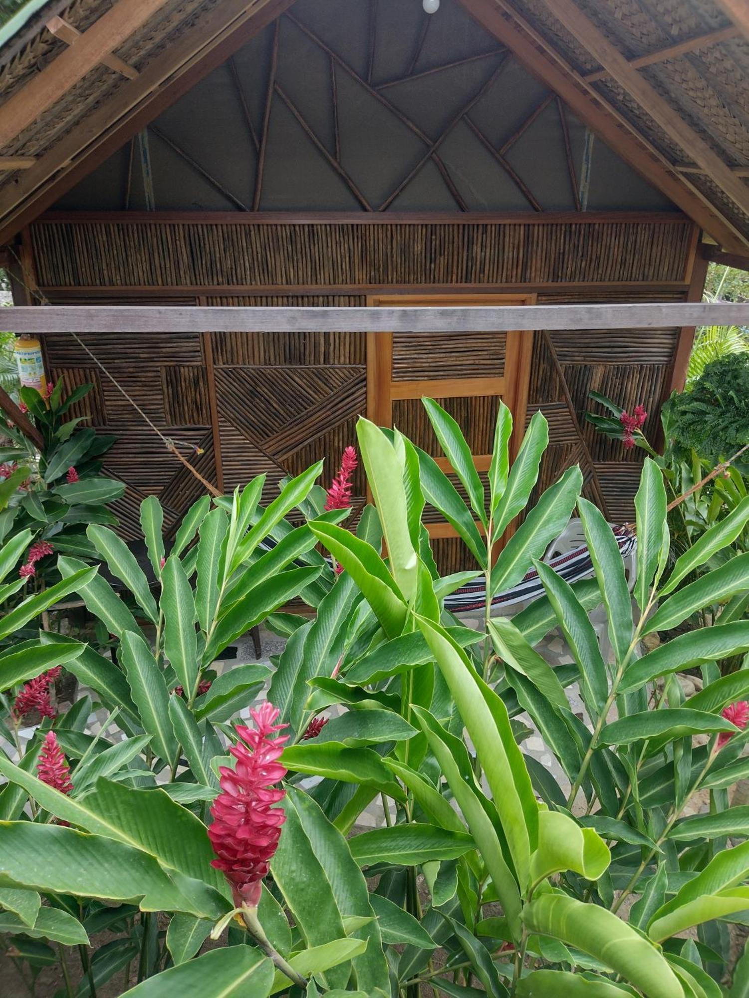 Casa Kumake Tayrona Villa Zaino Eksteriør billede