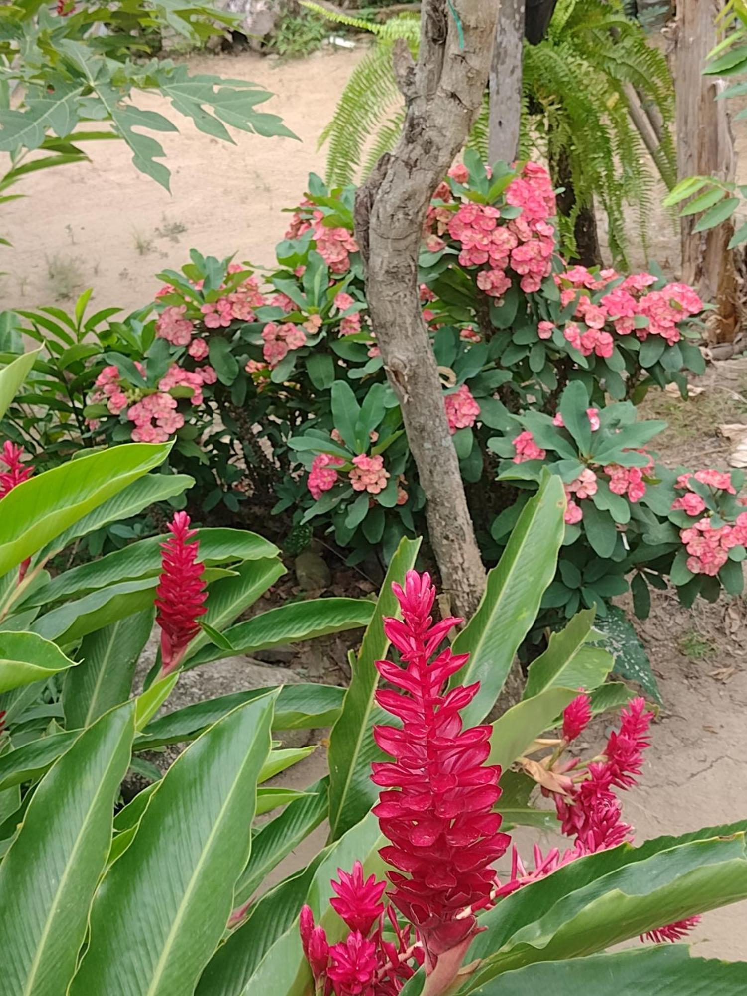 Casa Kumake Tayrona Villa Zaino Eksteriør billede